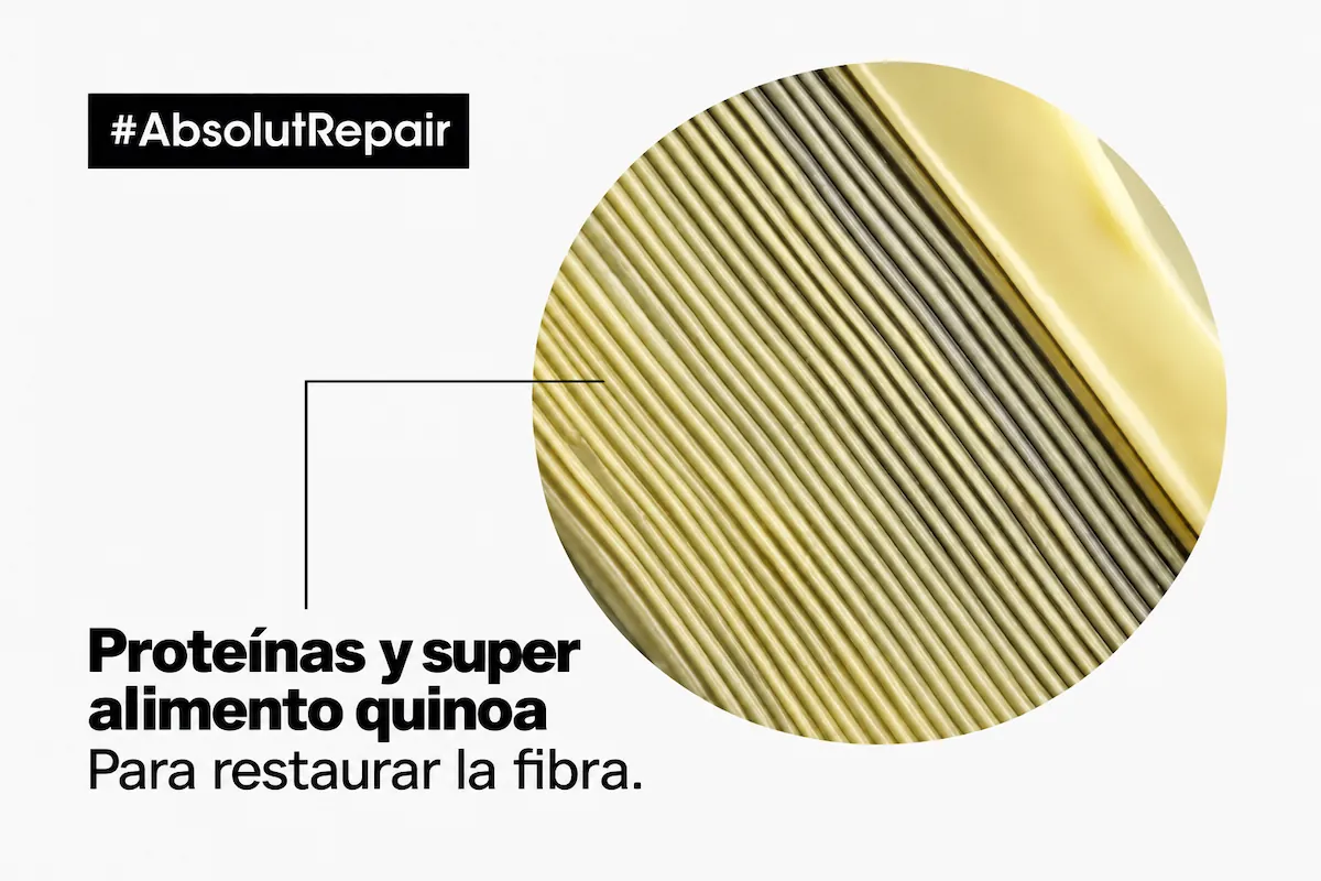 Fibra capilar ampliada: proteínas y quinoa para restaurar la fibra