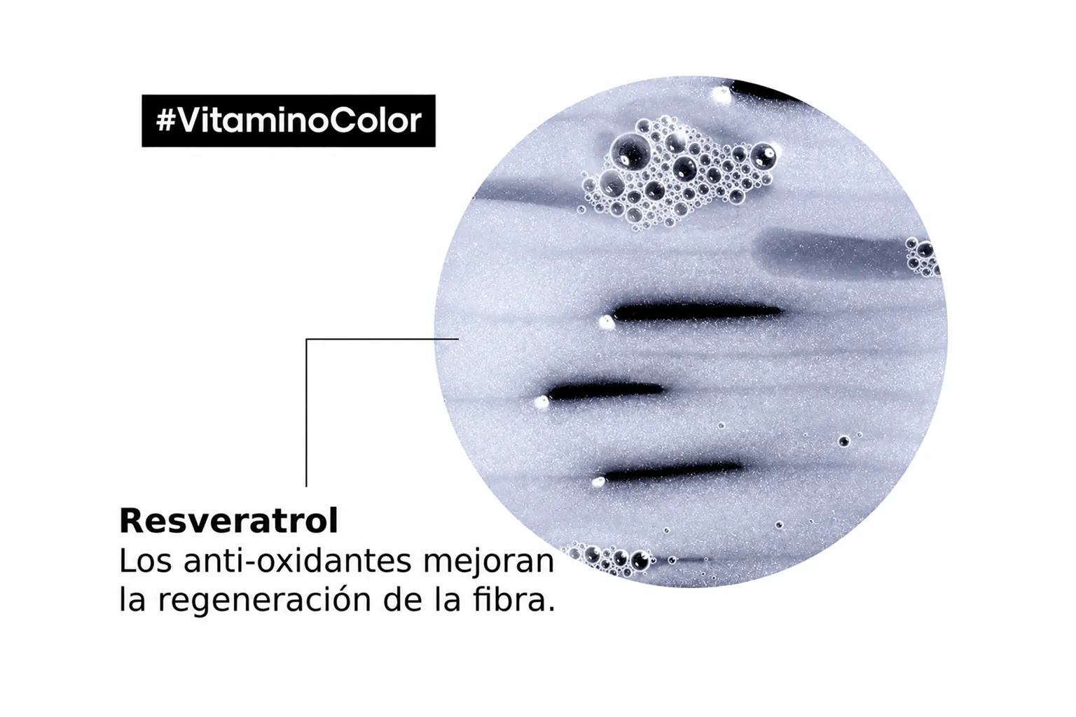 Fibra capilar ampliada: el resveratrol, un antioxidante, ayuda a regenerar la fibra
