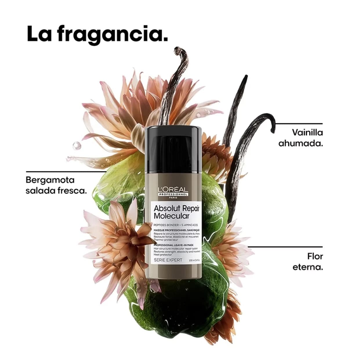 Imagen 3 del producto