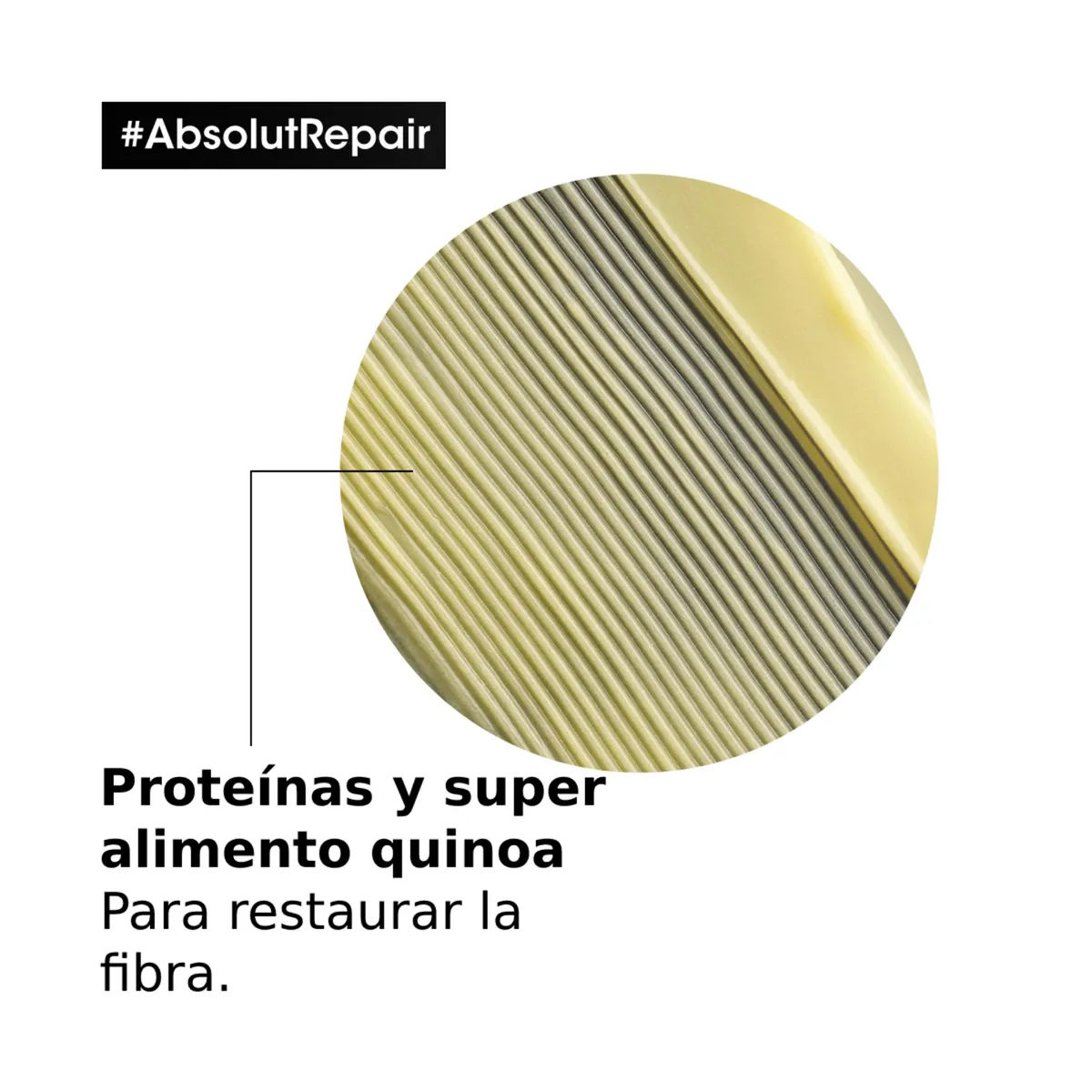 Imagen 3 del producto