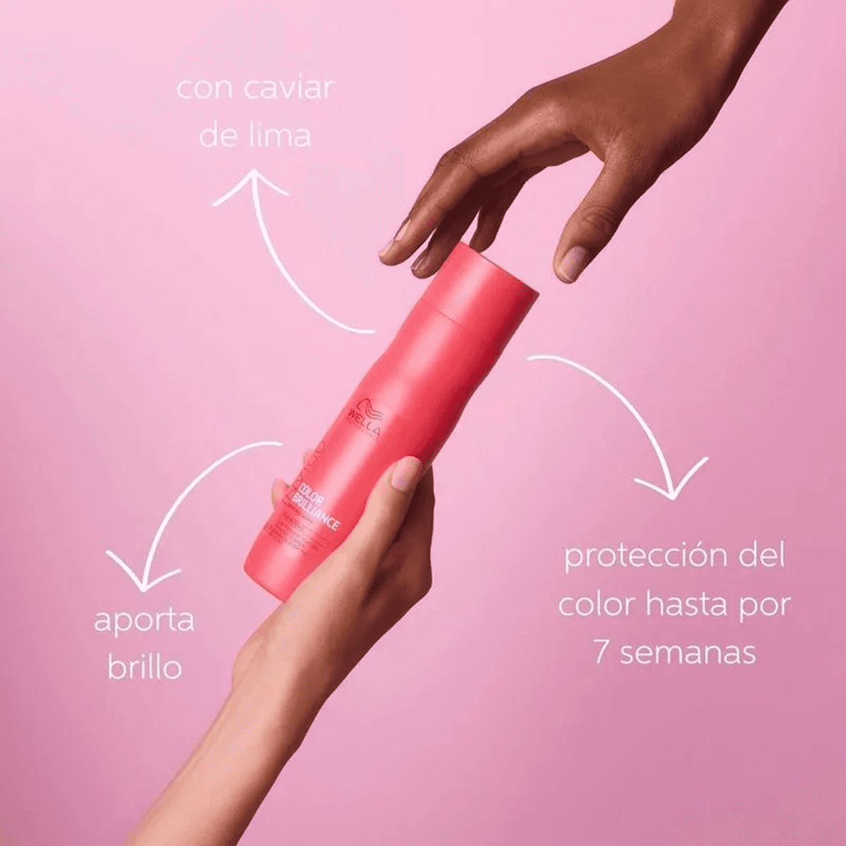 Imagen 4 del producto