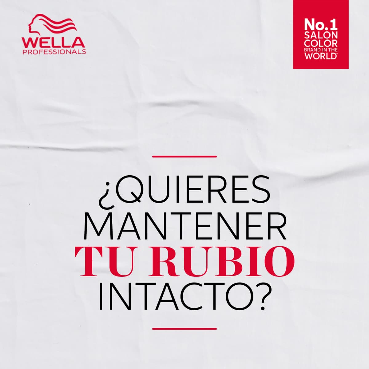 Imagen 2 del producto