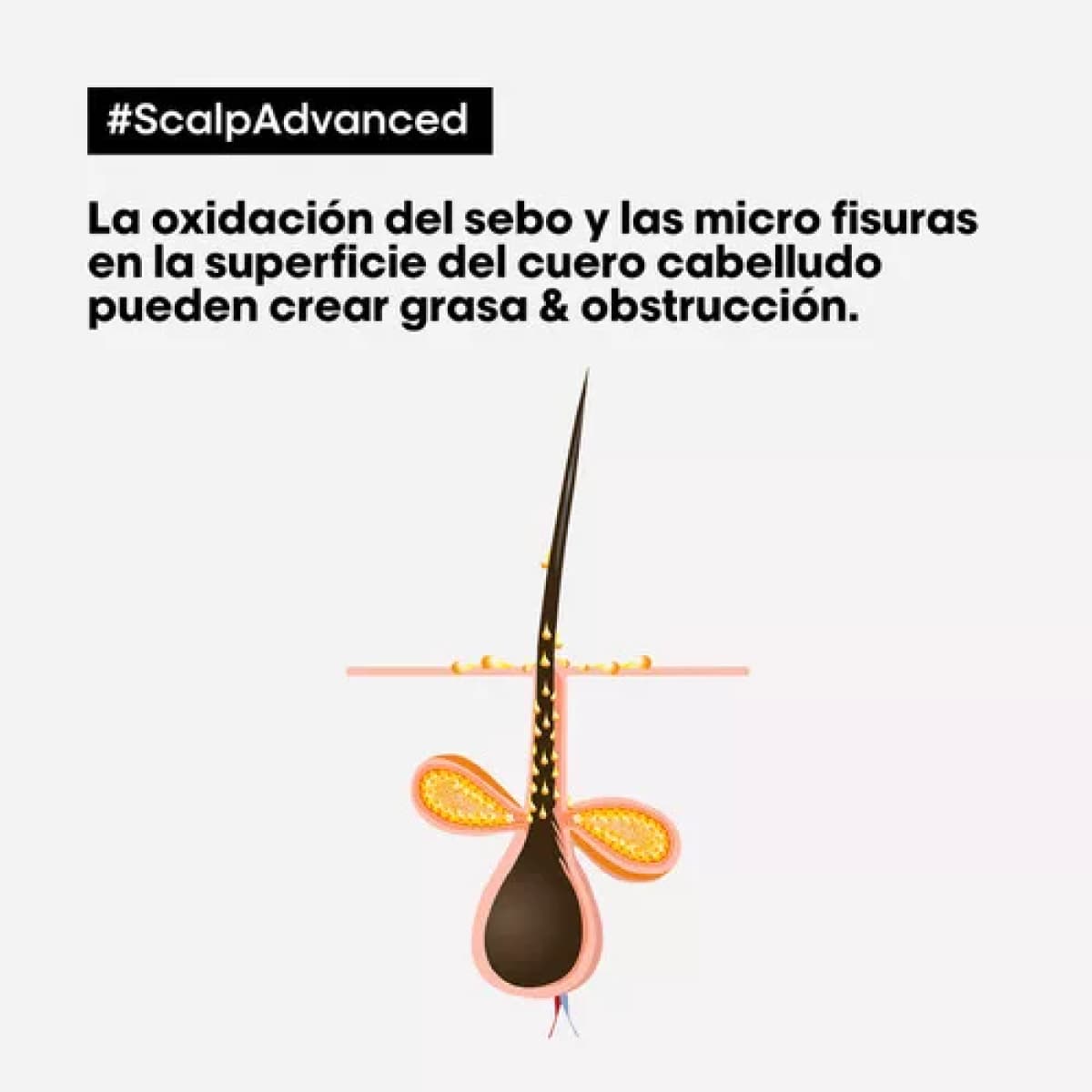 Imagen 5 del producto