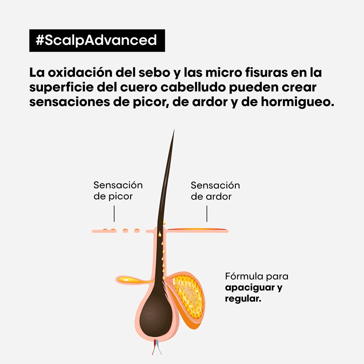 Imagen 3 del producto